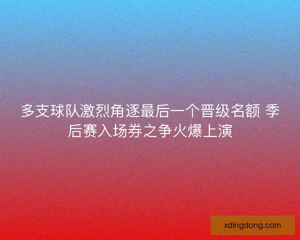 多支球队激烈角逐最后一个晋级名额 季后赛入场券之争火爆上演