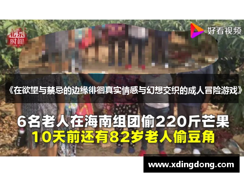 《在欲望与禁忌的边缘徘徊真实情感与幻想交织的成人冒险游戏》
