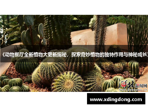 《动物餐厅全新植物大更新揭秘，探索奇妙植物的独特作用与神秘成长》
