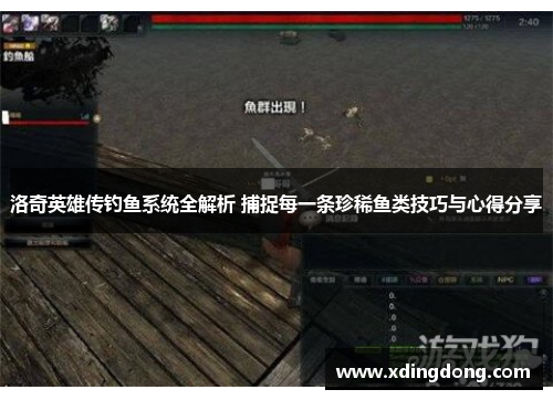 洛奇英雄传钓鱼系统全解析 捕捉每一条珍稀鱼类技巧与心得分享