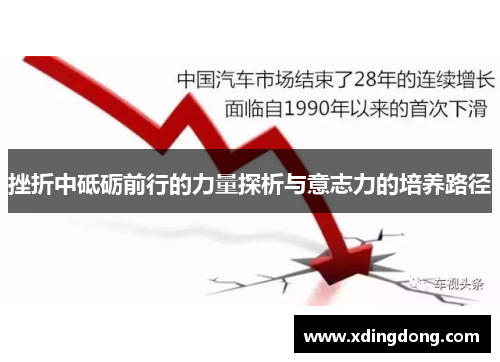挫折中砥砺前行的力量探析与意志力的培养路径